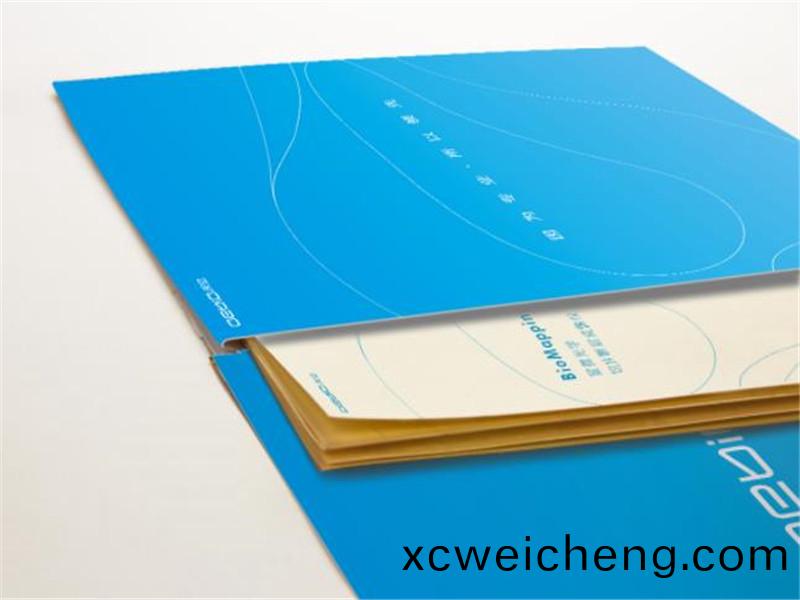 宣(xuan)傳(chuan)冊(ce)封套(tao)